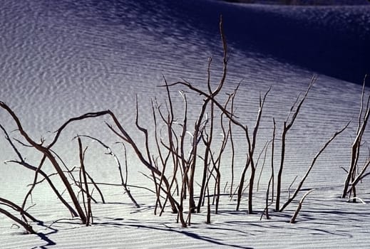 White Sands in New Mexico