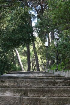 steps stairs in nature for background use
