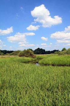 small river on summer field