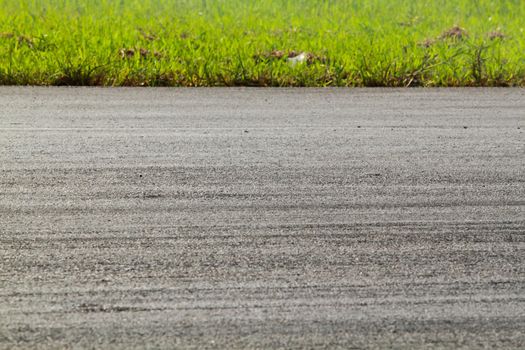 Road and grass for background