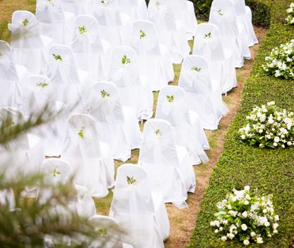 Tropical settings for a wedding on mountain