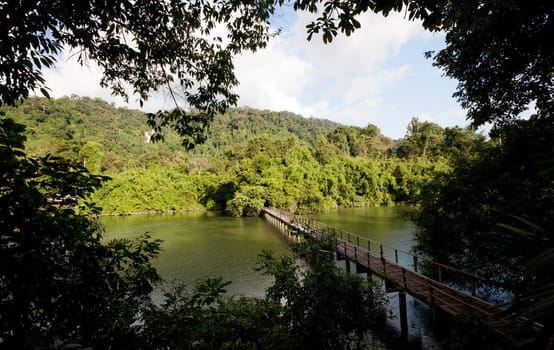 Bridge to the jungle, Chantaburi eastern of Thailand