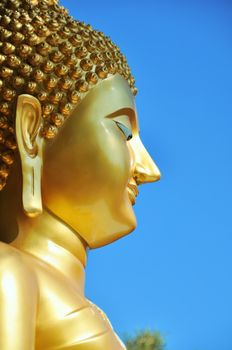 the head of a large buddha against a blue sky backdrop