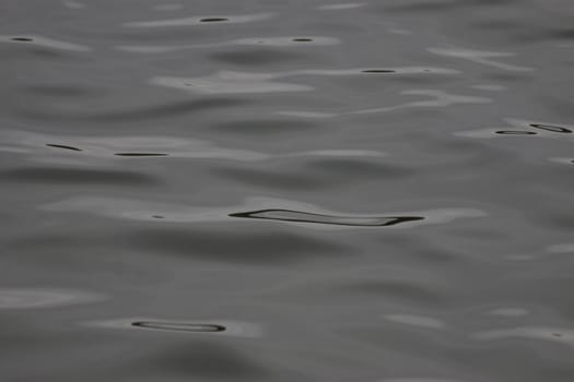 The surface of the waters of the lake on a cloudy day of autumn