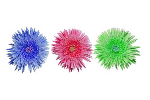 3-color flowers.