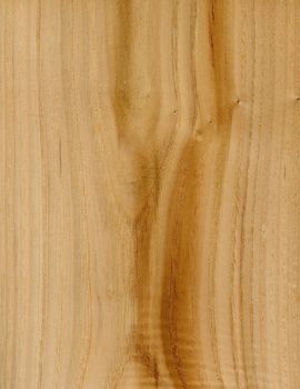 High resolution Wood texture