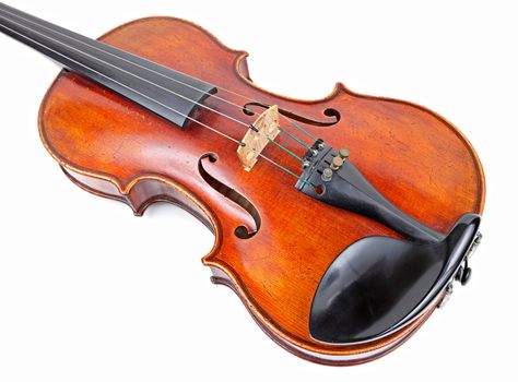 violin
