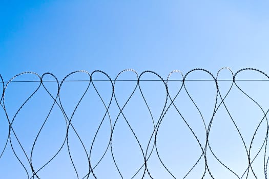 spirals of barbed wire against the sky