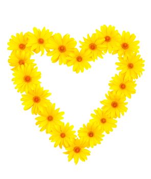 The beautiful frame heart of yellow flowers