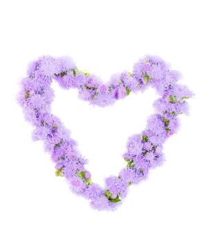 The beautiful frame heart of purple flowers