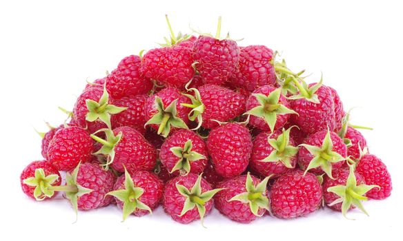 fresh raspberry closeup isolated on white background