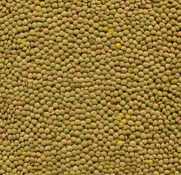 High resolution Green lentils texture.