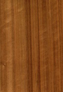 High resolution Wood texture