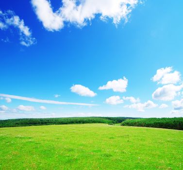 field on a background of the blue sky