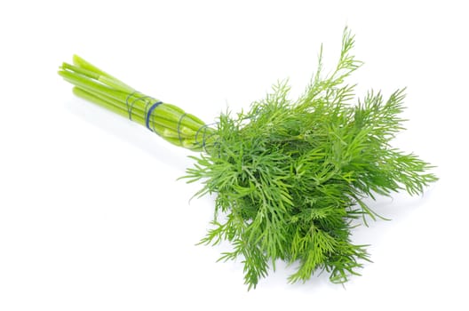 dill on a white background