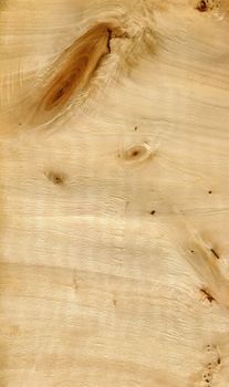 High resolution Wood texture