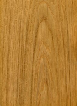 High resolution Wood texture