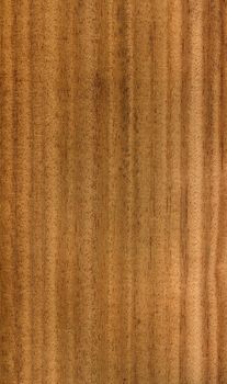 High resolution Wood texture