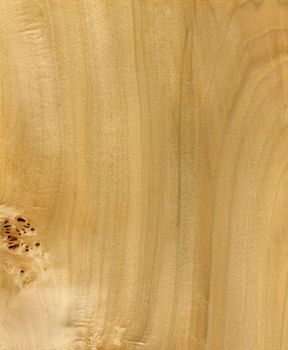 High resolution Wood texture