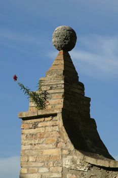 Flower on the church