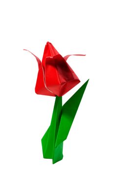 Origami red tulip isolated on white