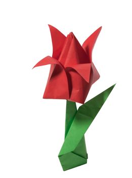 Origami red tulip isolated on white