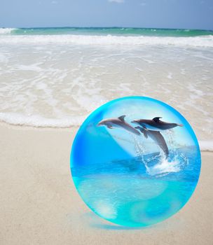 Dolphine jumping in crystal over sand and  sea