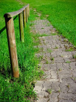 Stairway in the meadow