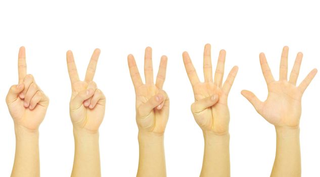 hands isolated on a white 