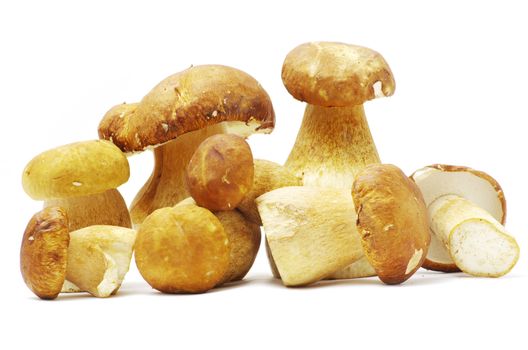 boletus edulis mushrooms on over white background
