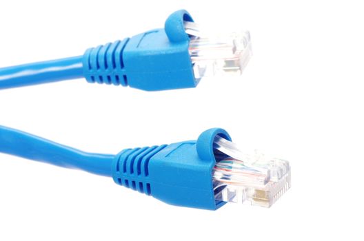  Macro shot of network connection plug