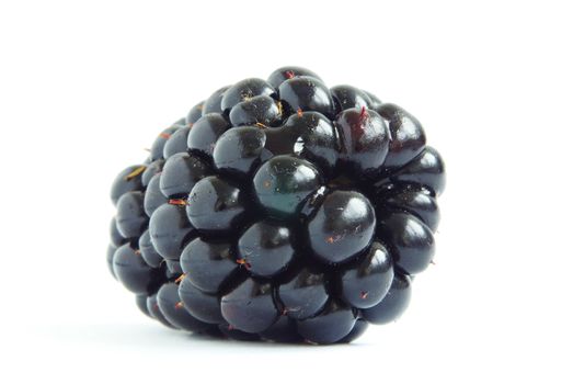 blackberry isolated on white background
