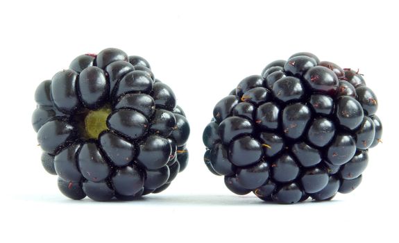 blackberry isolated on white background