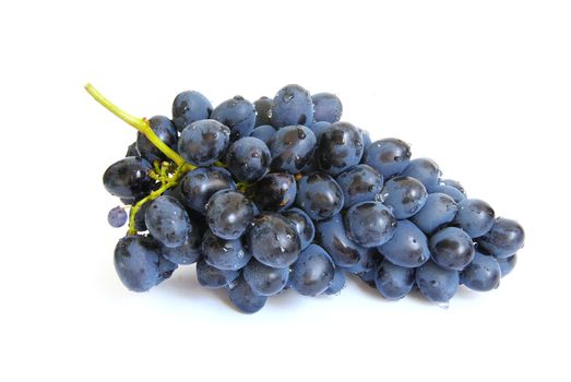 The branch of grapes with water drops
