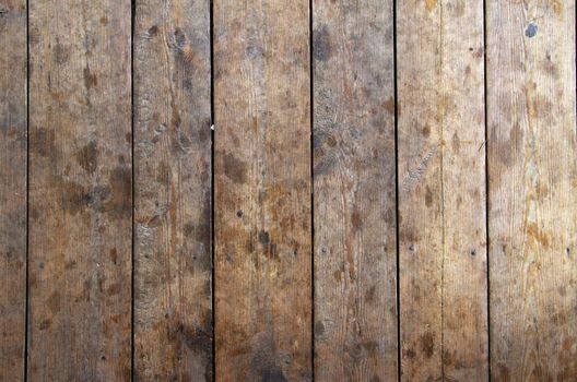 Texture of  wood to serve as background