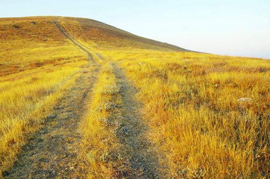 path on mountain meadow in nice day