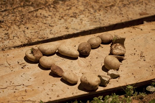 Heart made by stones 