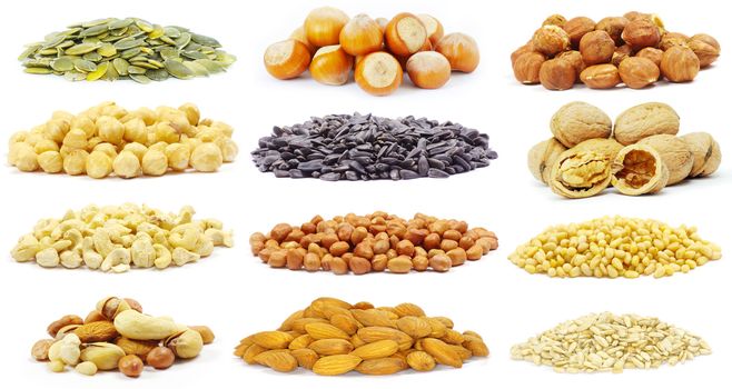  seeds and nuts with collection