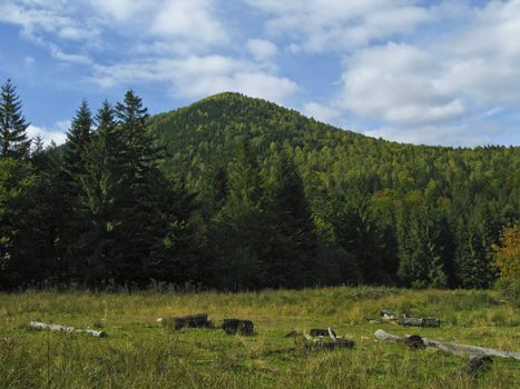 Autumn forest in the mountains, Carpathians, Ukraine