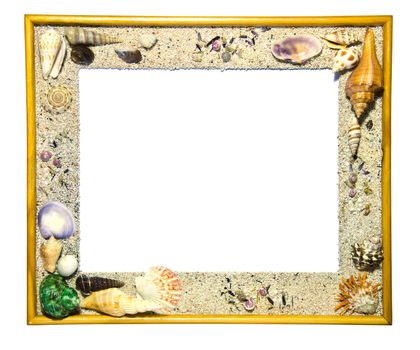 Wooden frame decorated with shells on white background