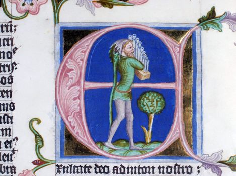 Illustration in an old bible book