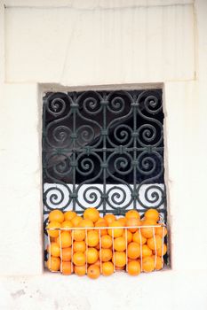 Old Tunisian window with oranges