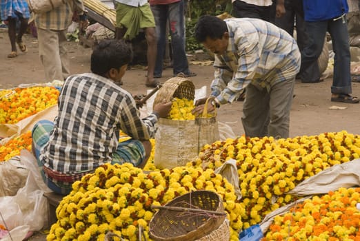 Man buys a bag of flowers at the flower market in Kolkata (Calcutta), West Bengal, India.