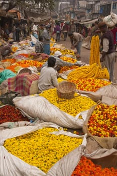 People buying and selling flowers at the flower market in the shadow of the Haora Bridge in Kolkata, West Bengal, India