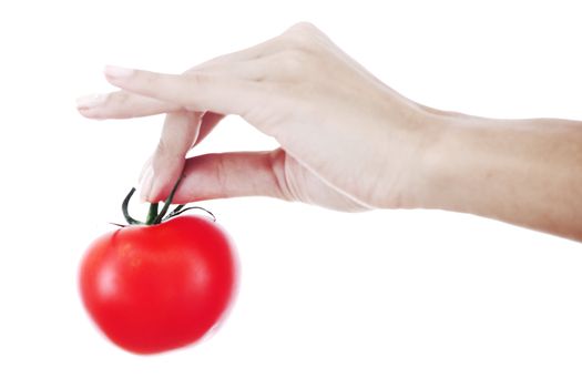 isolated tomato in woman hands close up