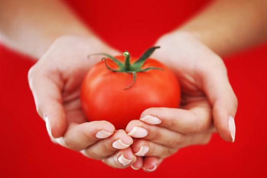 tomato in woman hands close up