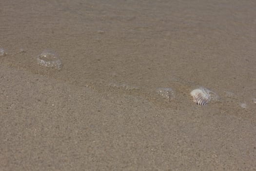 beach sand and sea