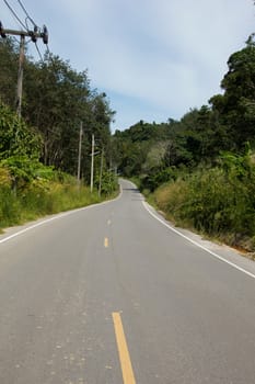 road in Thailand forest
