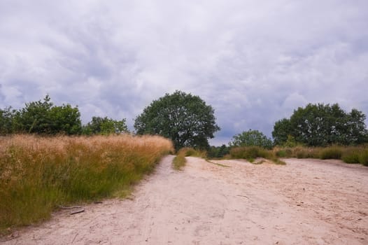 sand path in a rural environment with dark rain clouds