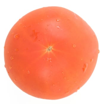 fresh red tomato on a white background